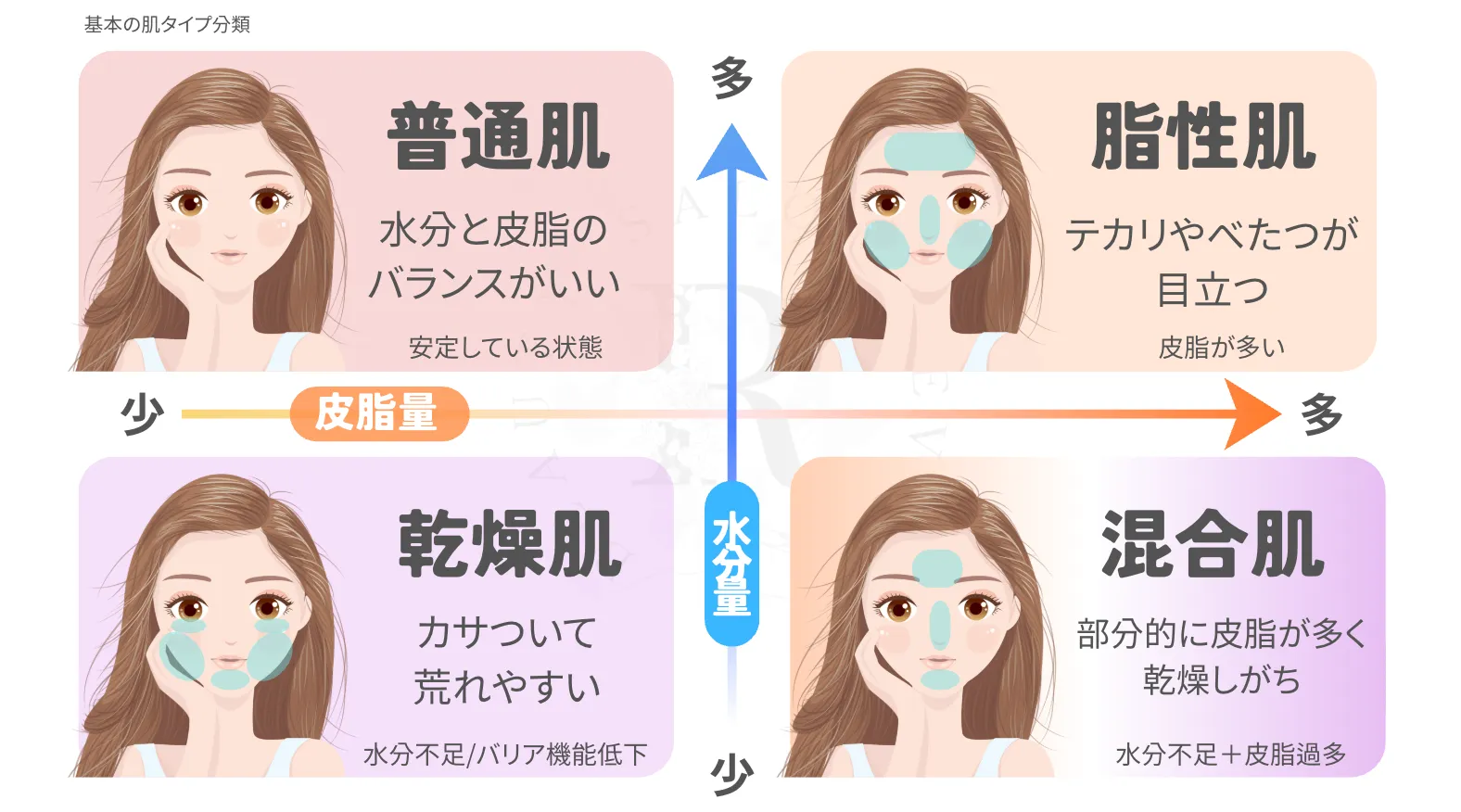 まずは肌を知る